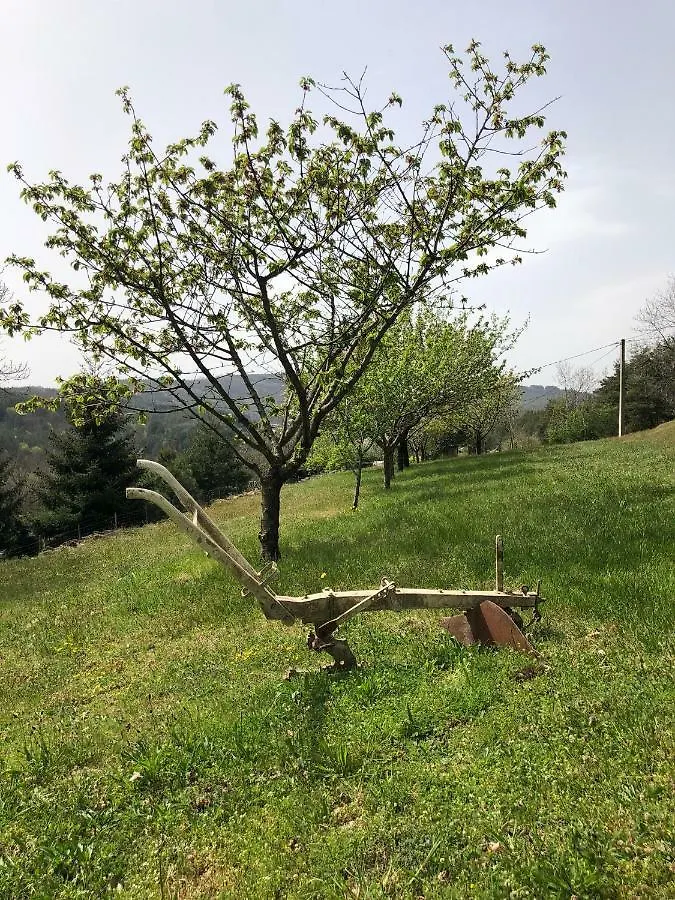 Chateau Rousset Saint-Apollinaire-de-Rias Holiday home